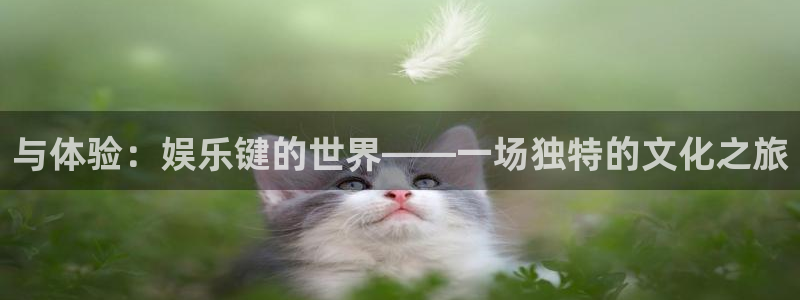 南宫大舞台官网入口：与体验：娱乐键的世界——一场独特的文化之旅