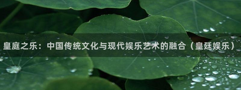 NG大舞台：皇庭之乐：中国传统文化与现代娱乐艺术的融合（皇廷娱乐）
