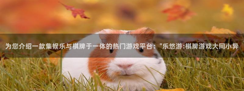 南宫大舞台：为您介绍一款集娱乐与棋牌于一体的热门游戏平台：\