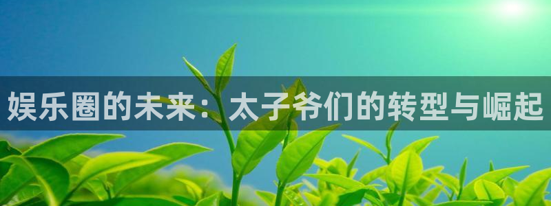 NG大舞台：娱乐圈的未来：太子爷们的转型与崛起