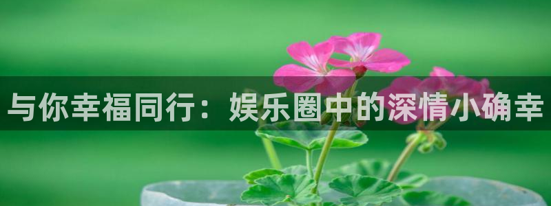NG大舞台：与你幸福同行：娱乐圈中的深情小确幸