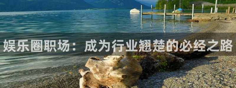 NG大舞台：娱乐圈职场：成为行业翘楚的必经之路