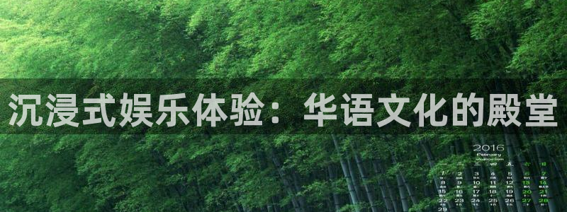 NG大舞台：沉浸式娱乐体验：华语文化的殿堂