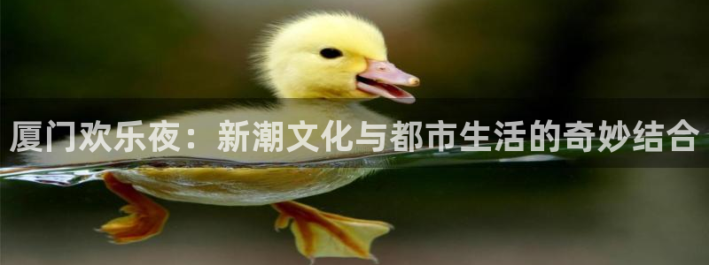 NG大舞台：厦门欢乐夜：新潮文化与都市生活的奇妙结合