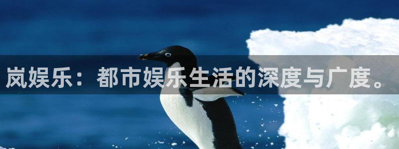 NG大舞台：岚娱乐：都市娱乐生活的深度与广度。