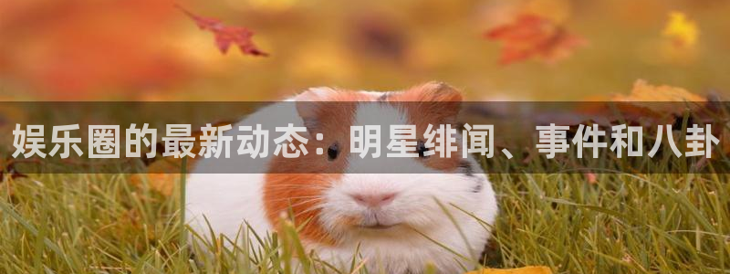 NG大舞台：娱乐圈的最新动态：明星绯闻、事件和八卦